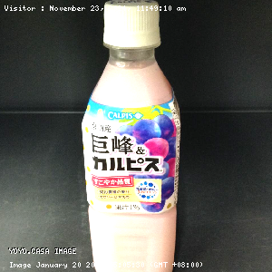 YOYO.casa 大柔屋 - Calpis巨峰乳酸菌飲料,500ml 