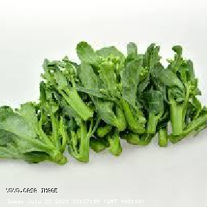 YOYO.casa 大柔屋 -  Kale baby,,包 <BR>A13