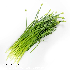YOYO.casa 大柔屋 - Chinese Chives Flower,250g,扎 <BR>F7
