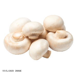 YOYO.casa 大柔屋 -  BUTTON  Mushroom,150g白碟, <BR>I7