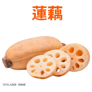 YOYO.casa 大柔屋 - Lotus Root,1s 