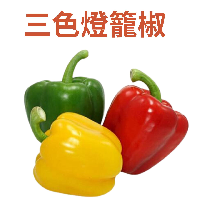 YOYO.casa 大柔屋 - 三色燈籠椒,1s 