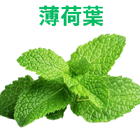 YOYO.casa 大柔屋 - 新鮮薄荷葉,1s 